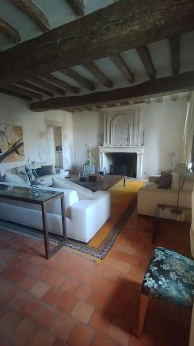 Villa Domaine Du Prieure Saint Ellier Charcé-Saint-Ellier-sur-Aubance Esterno foto